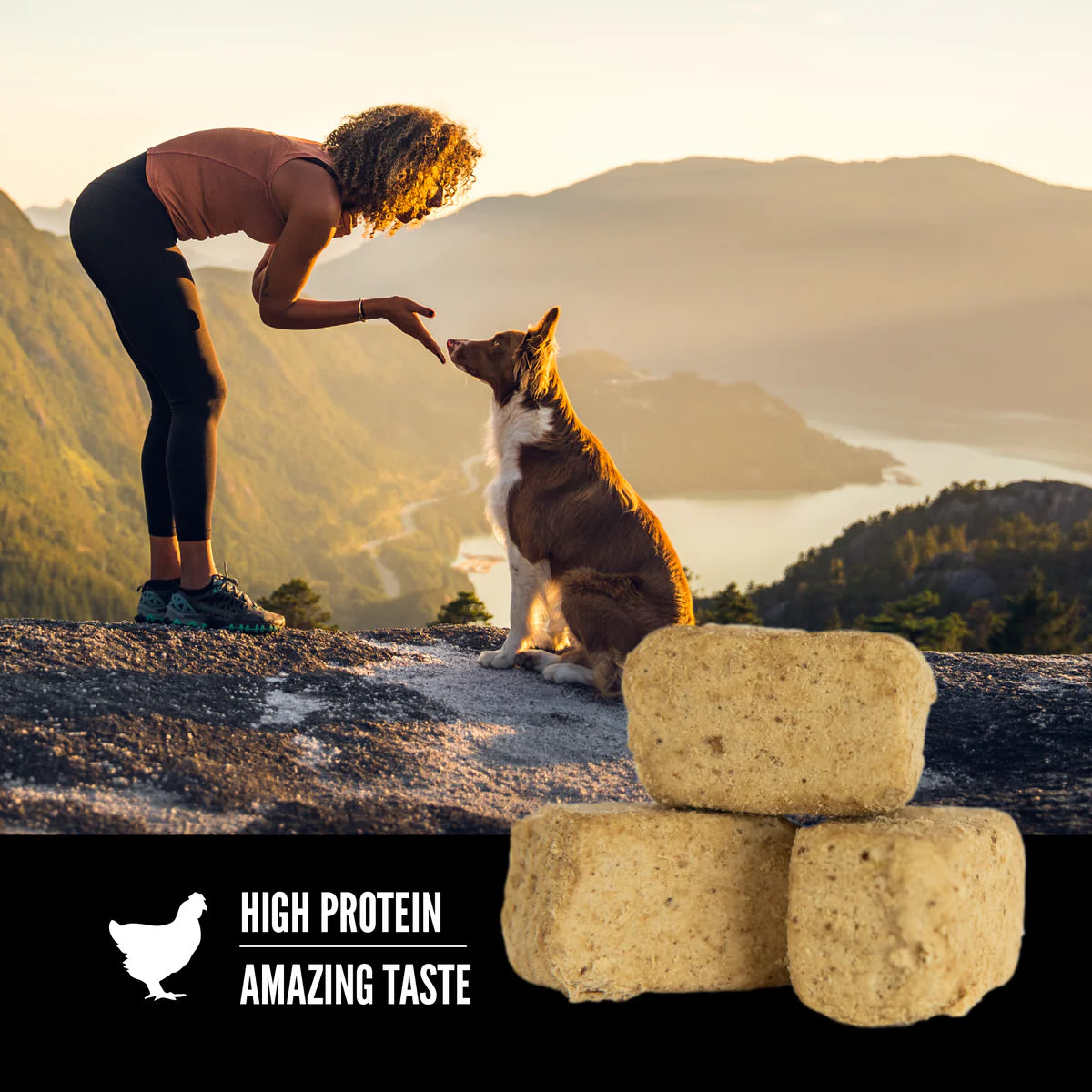 ORIJEN Original Freeze-Dried Dog Treats 92g