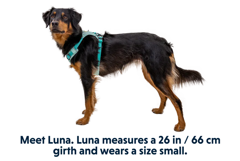 RUFFWEAR Hi & Light Lightweight Dog Harness Sage Green