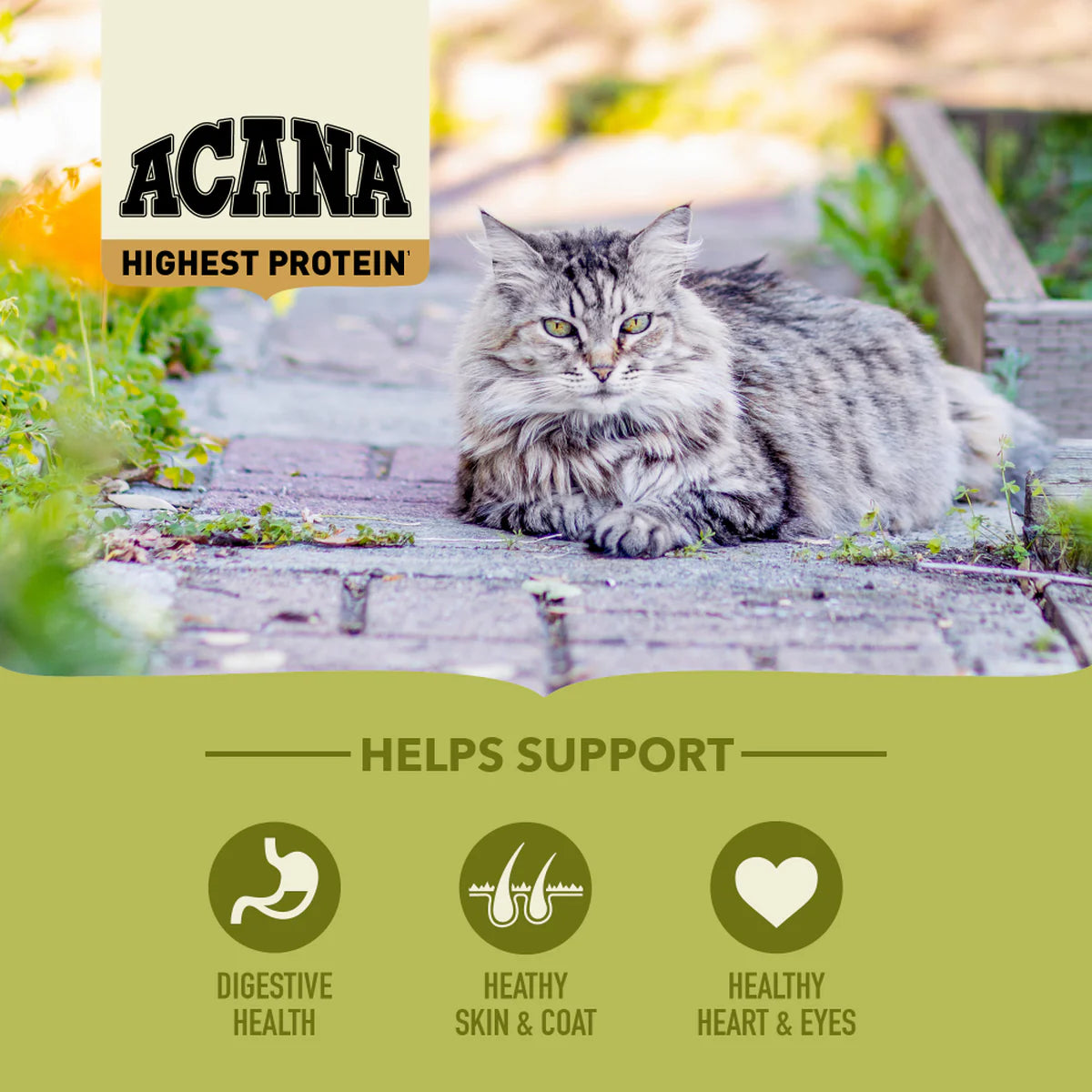 ACANA Highest Protein Grasslands Cat Food