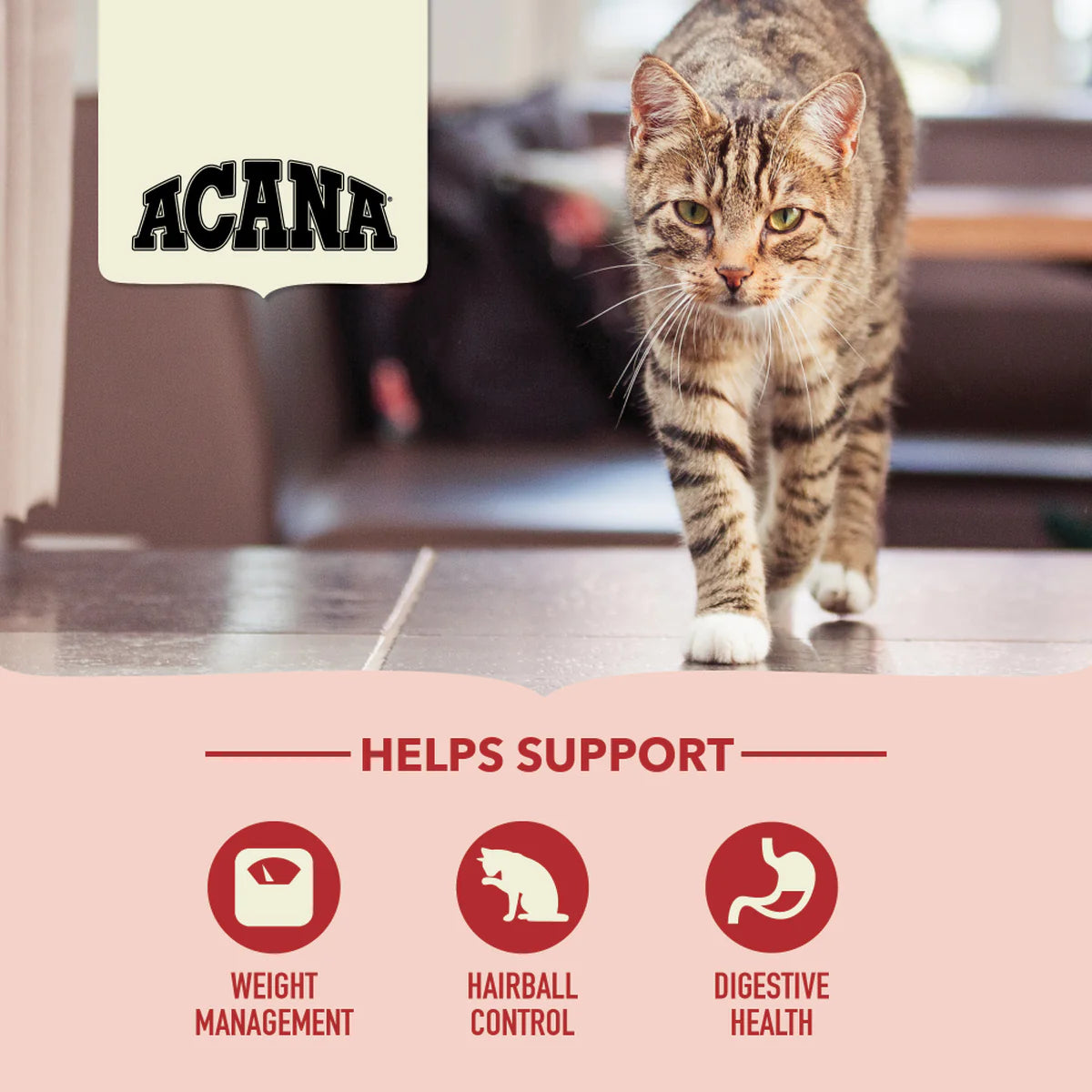 ACANA Indoor Entree Cat Food