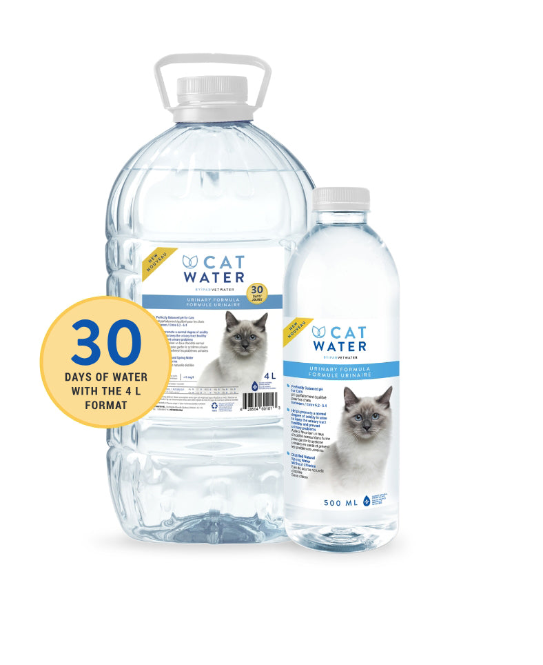 Vet Water Ph Balanced Cat Water Cat 4L