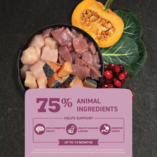 ACANA Highest Protein Free-Run Chicken Turkey & Salmon Kitten Cat Food 1.8kg