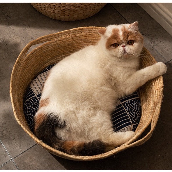 Rattan Bed