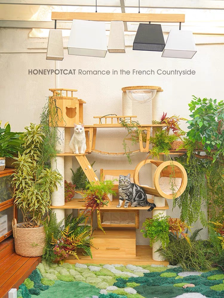 HONEYPOTCAT 210606