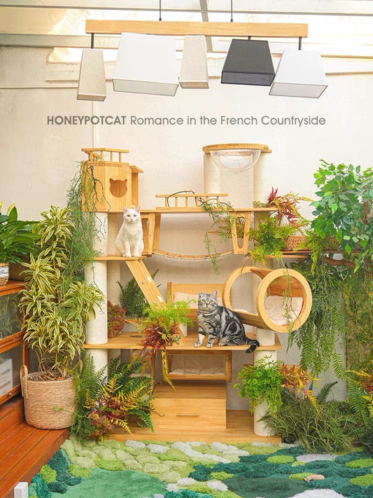 HONEYPOTCAT 210606