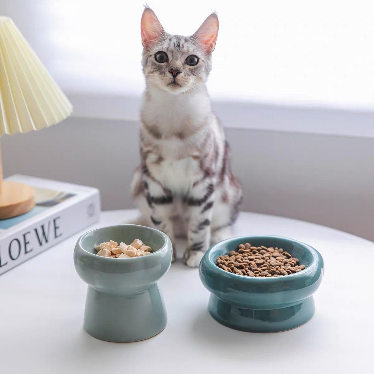 Petal Cat Bowl