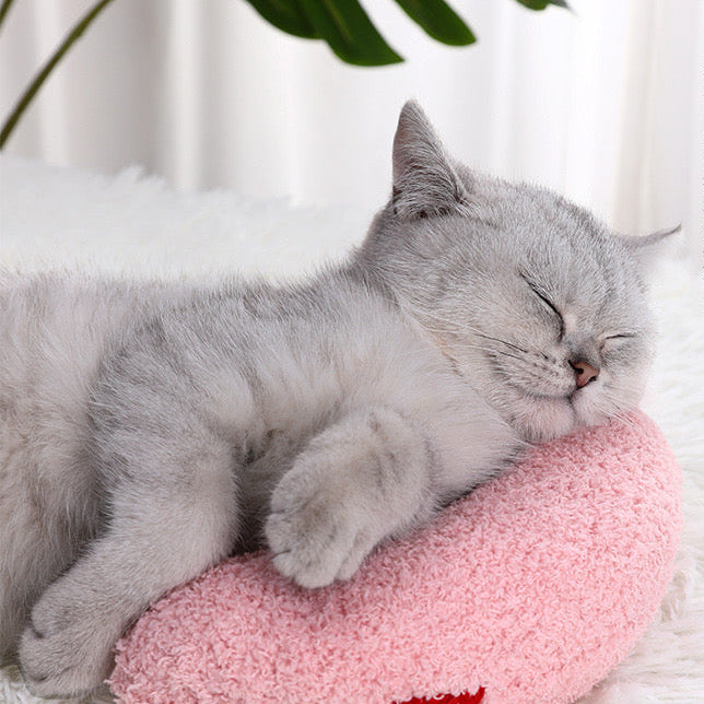 Pillow