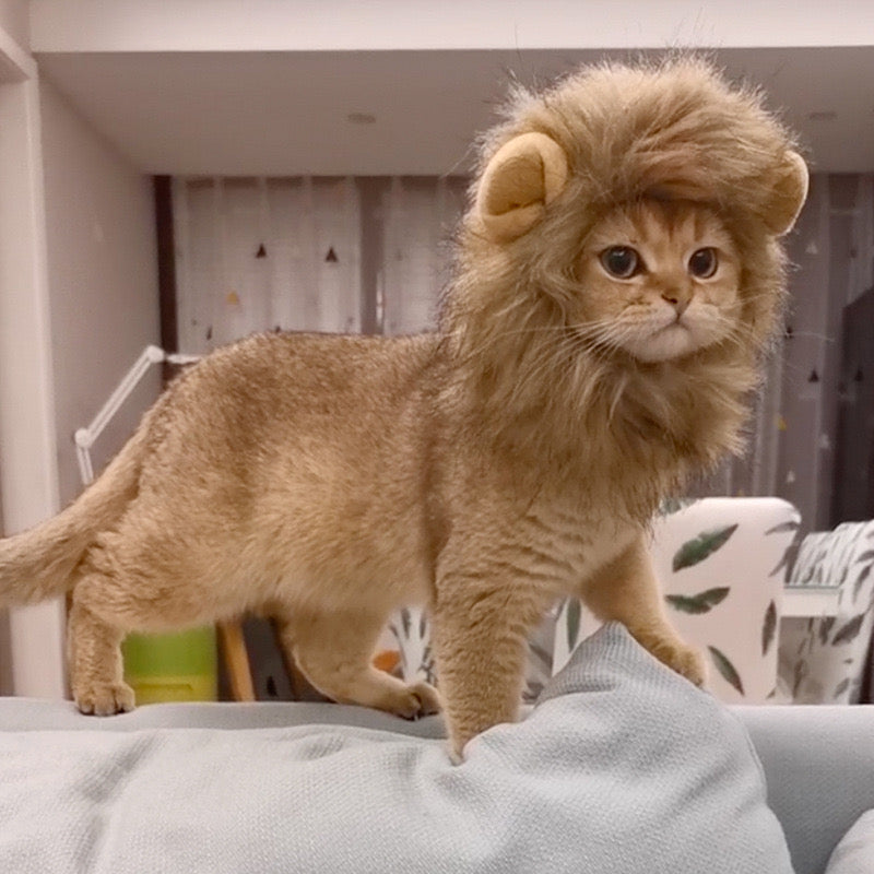 Lion Mane Costume for Cats