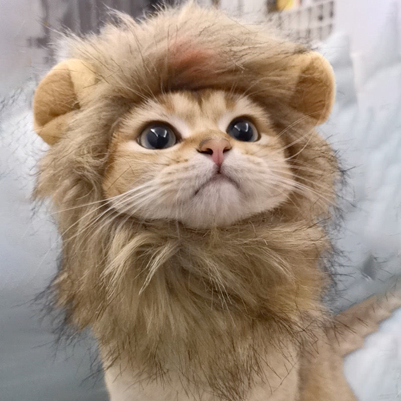 Lion Mane Costume for Cats
