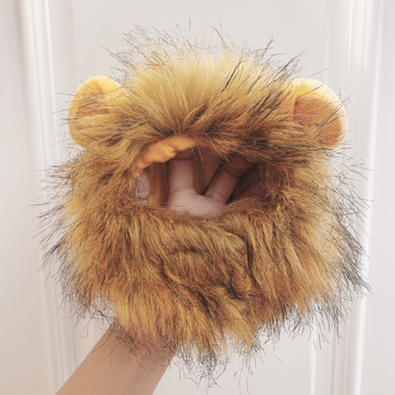Lion Mane Costume for Cats
