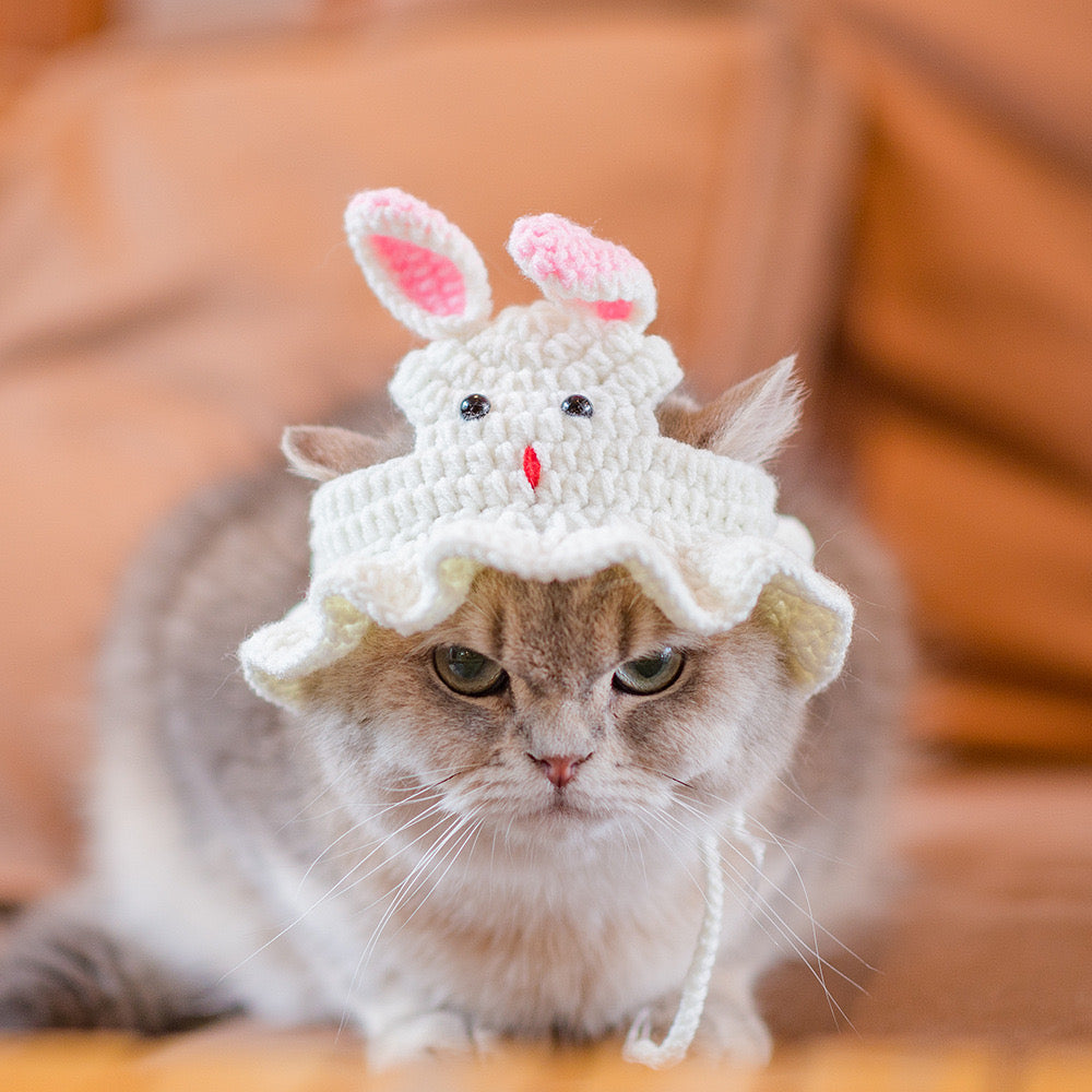 Crochet Hats for Cats