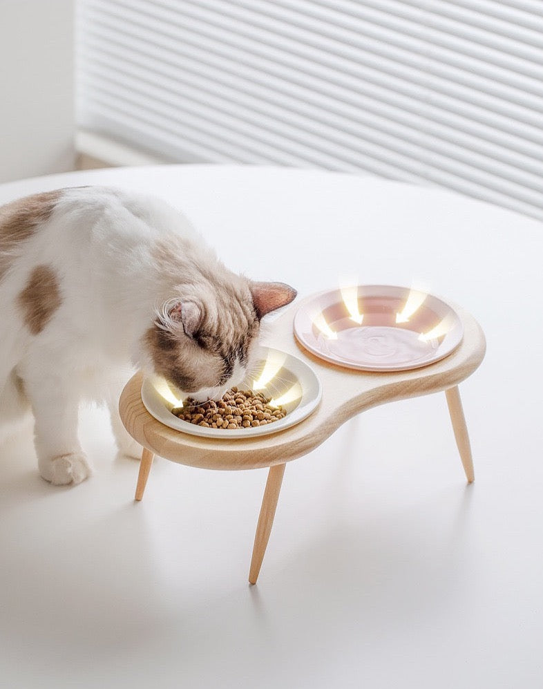 Wooden Triangular Stand Aircraft Pet Bowl Duo