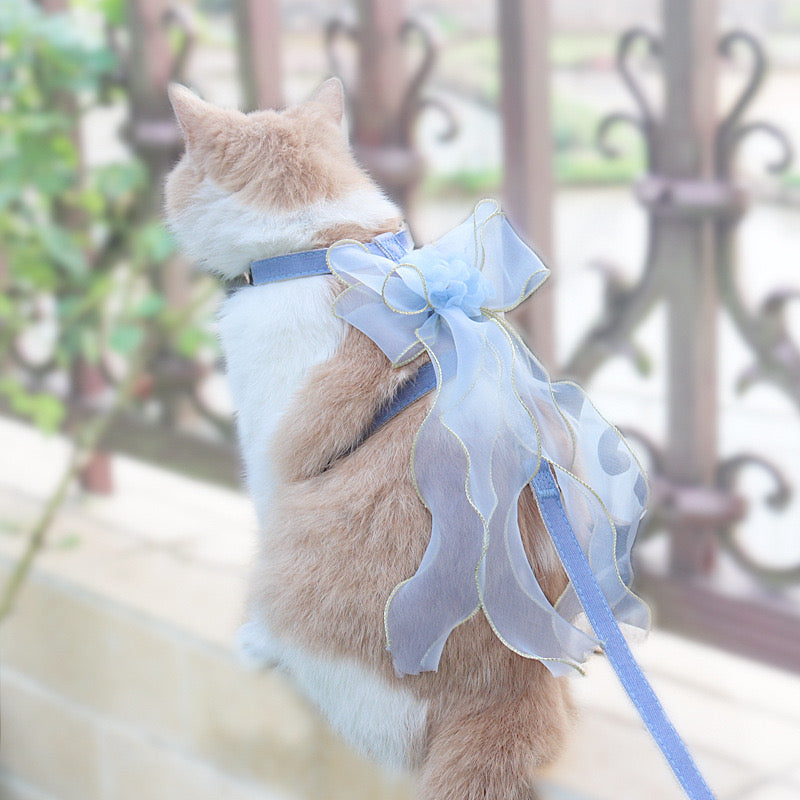 Cat Leash 1
