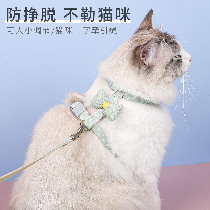 Cat Leash 4