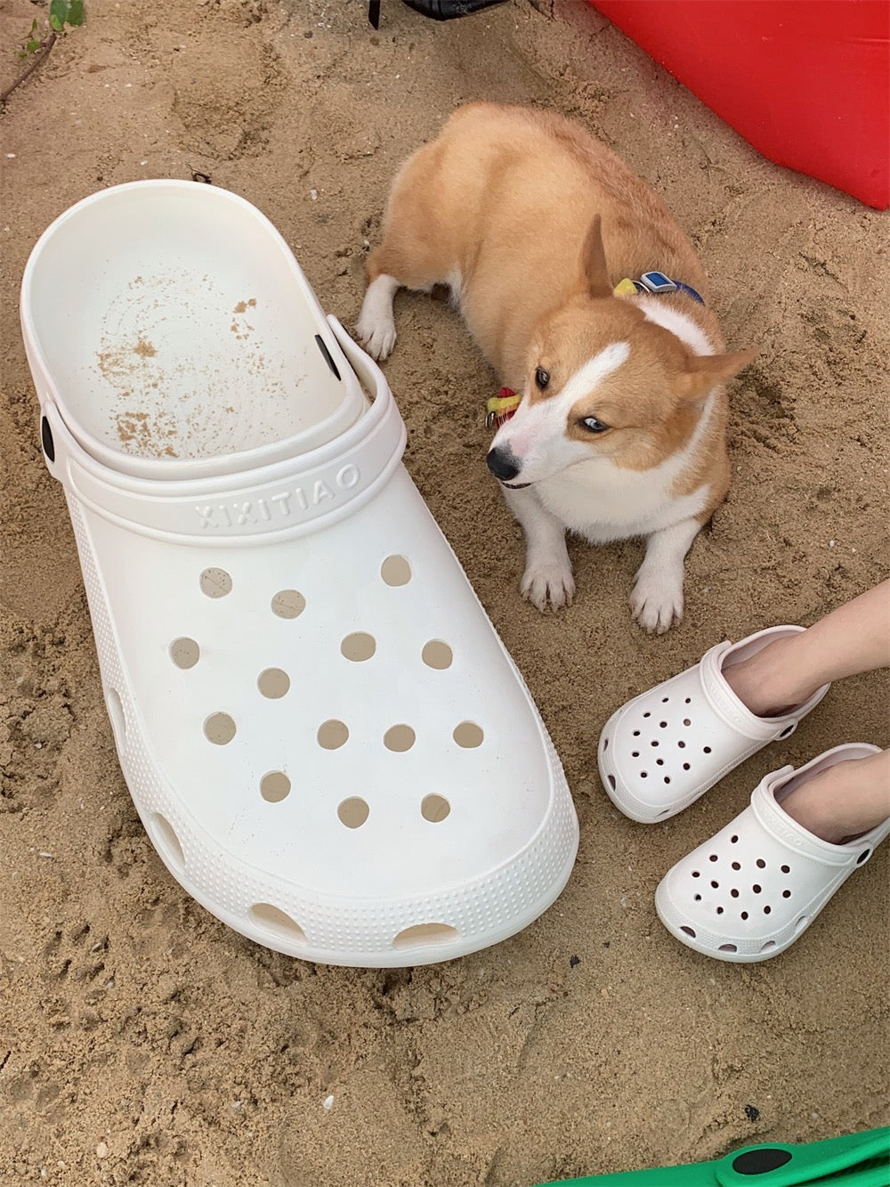 Slipper Bed