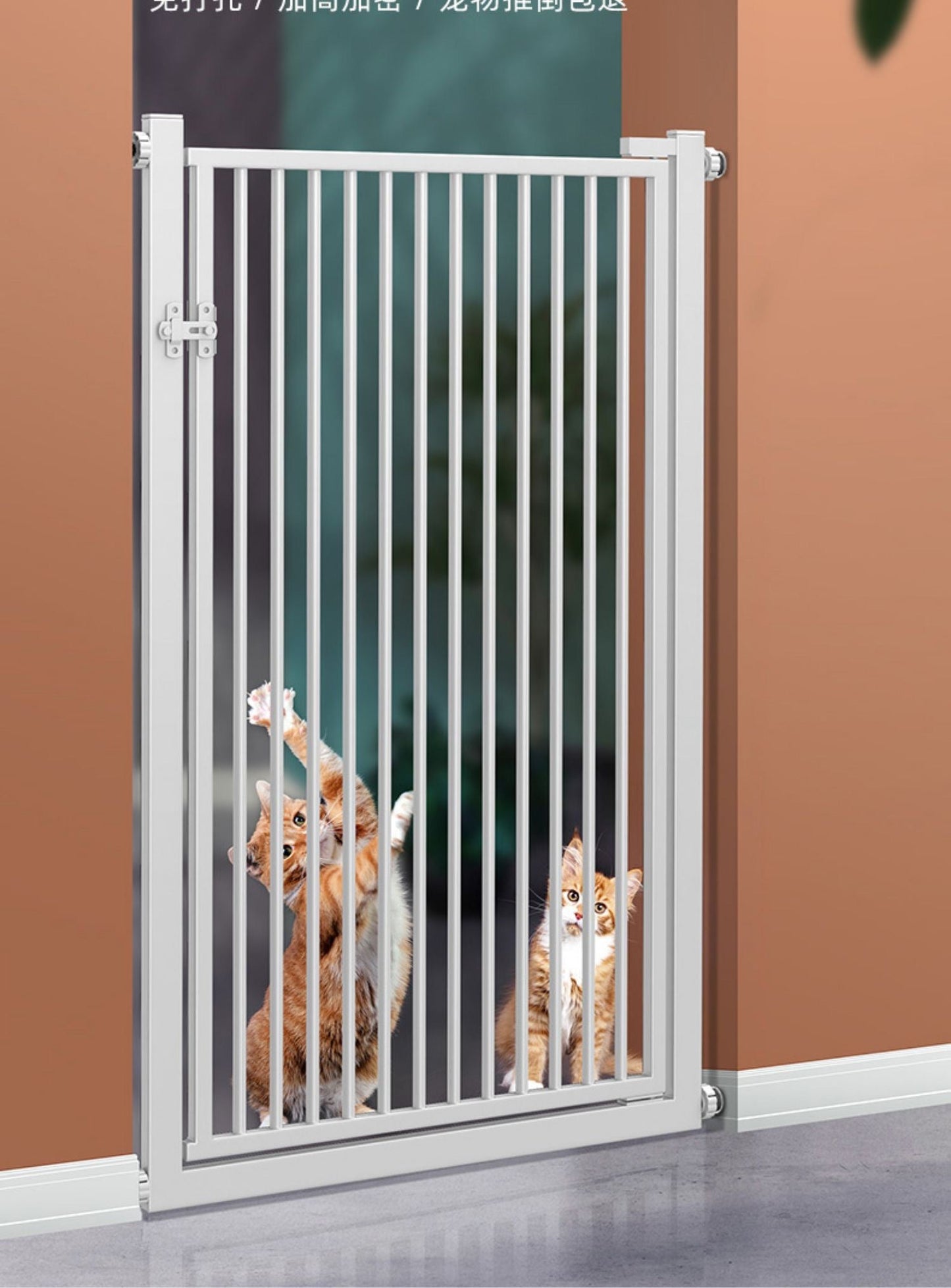 Fence Door for Pet