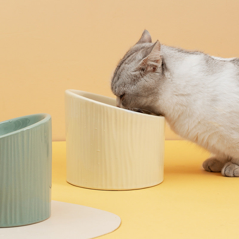 Cactus Cat Bowl