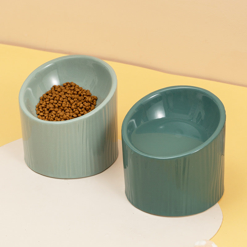 Cactus Cat Bowl