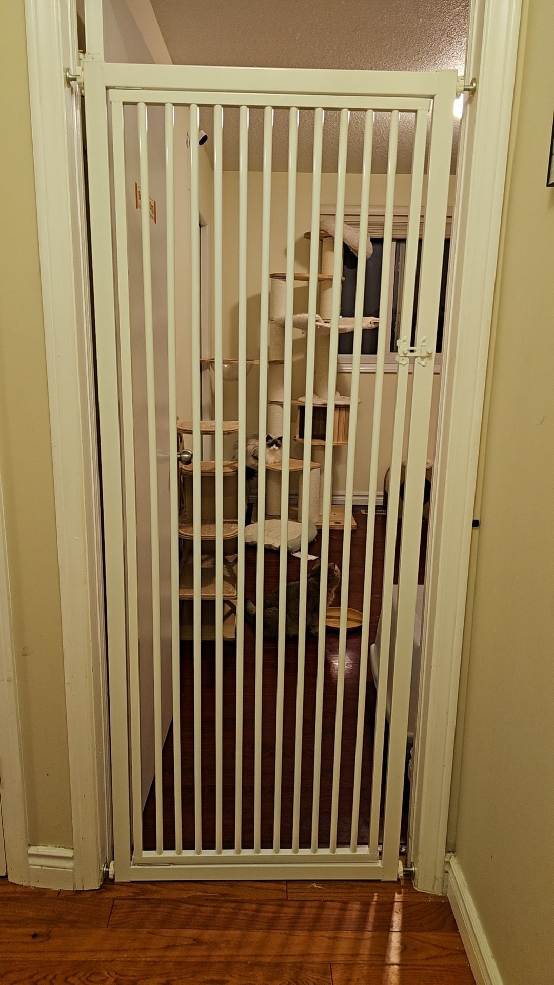 Fence Door for Pet