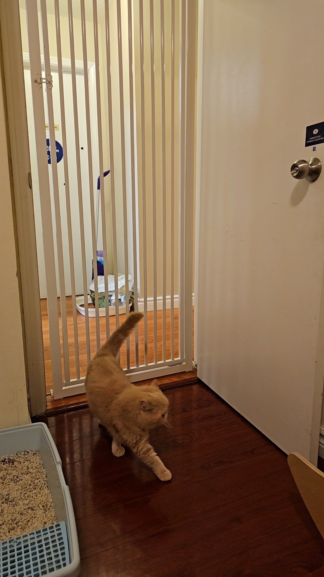 Fence Door for Pet