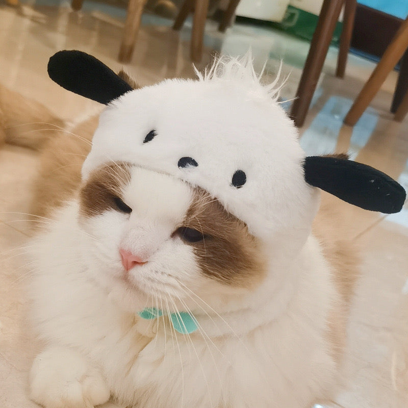 Cartoon Hats