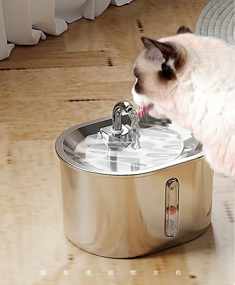 Stainless Steel Pet Water Dispenser