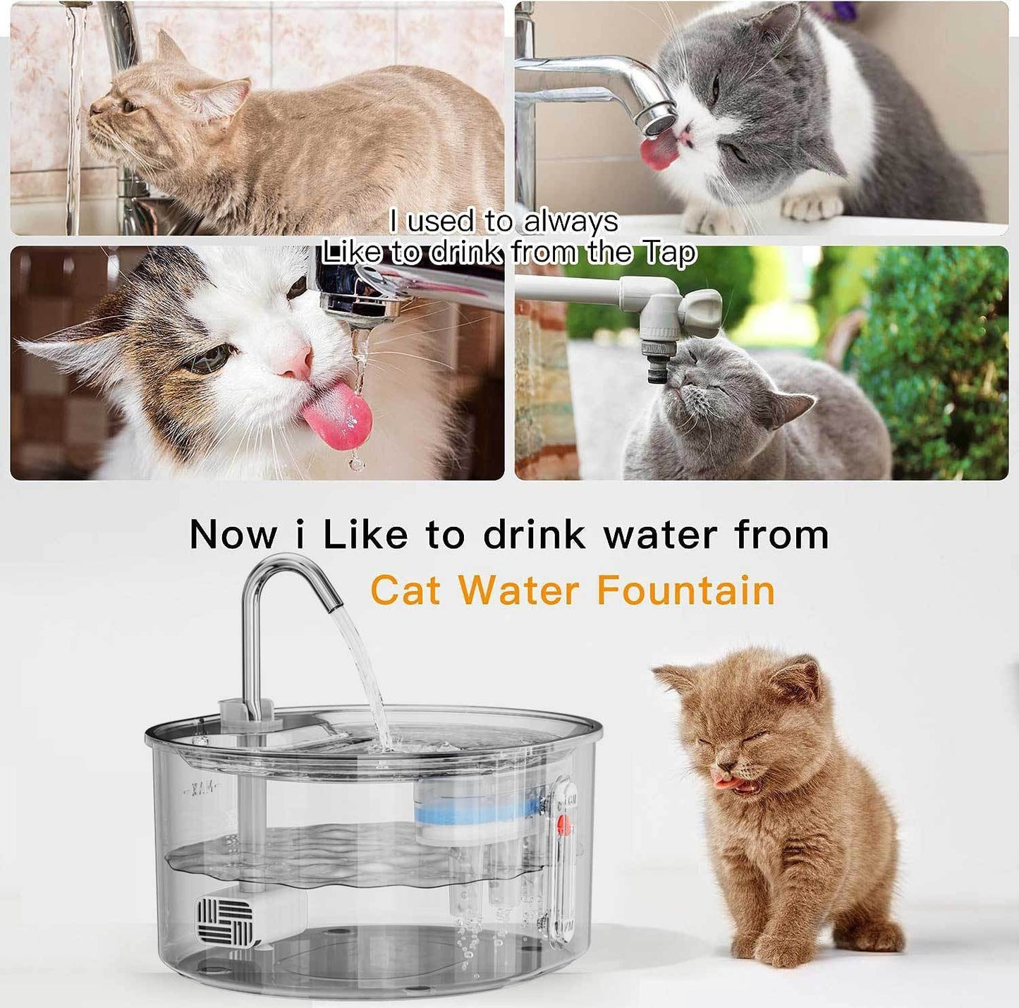 Stainless Steel Pet Water Dispenser