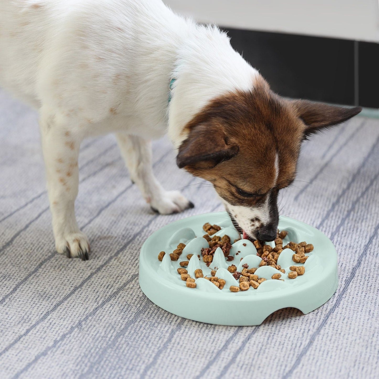 Goldfish Slow Feeder Bowl