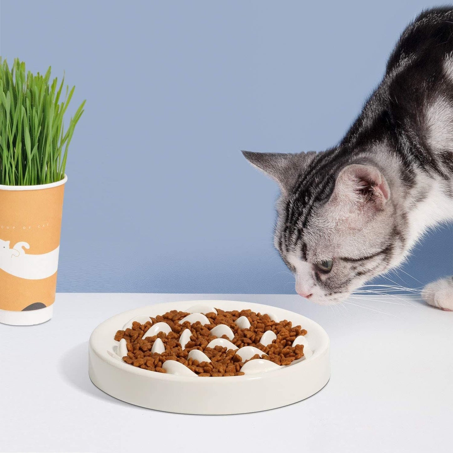 Goldfish Slow Feeder Bowl