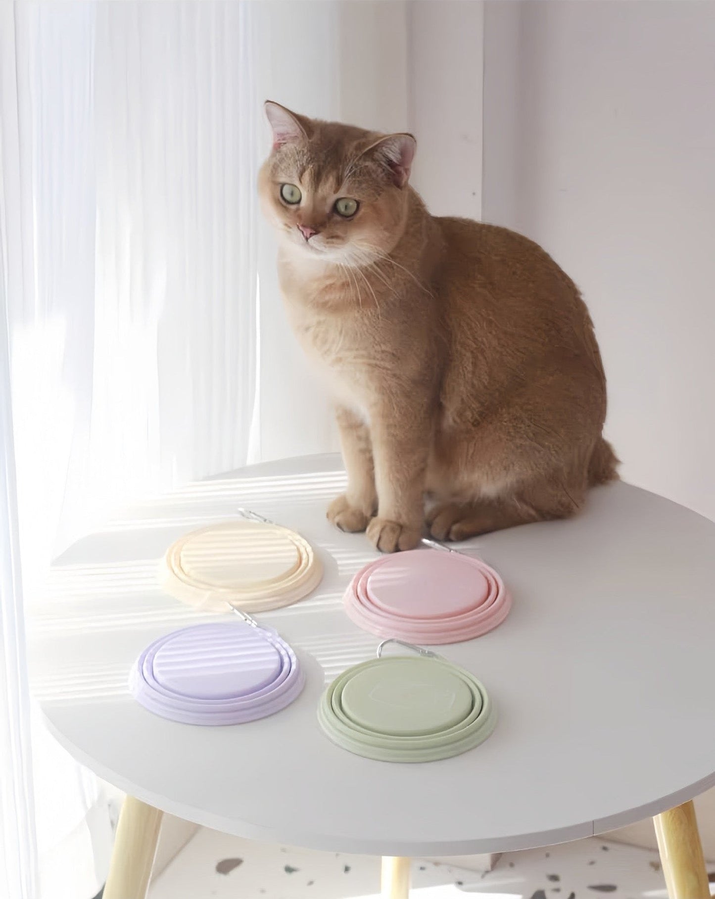 Collapsible Travel Cup For Pets