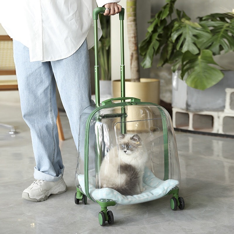 Large Transparent Trolley Suitcase