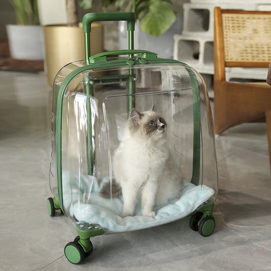 Large Transparent Trolley Suitcase