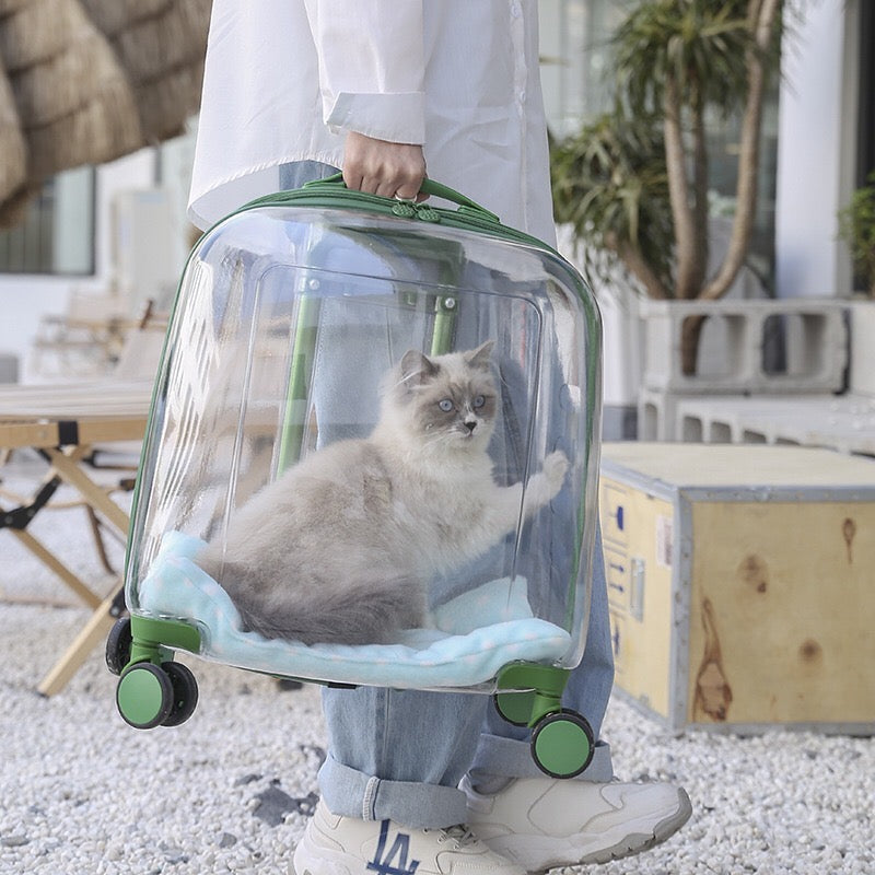 Large Transparent Trolley Suitcase