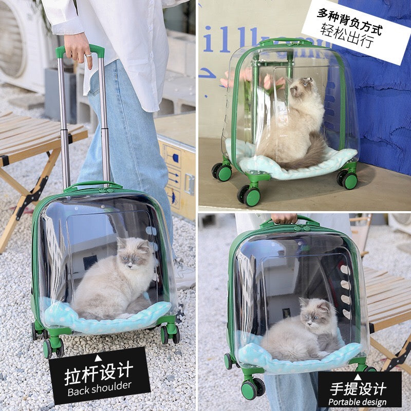 Large Transparent Trolley Suitcase