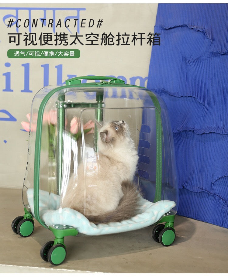 Large Transparent Trolley Suitcase