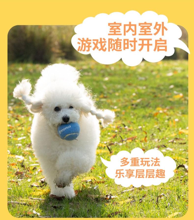 Petsville Tennis Ball For Dogs
