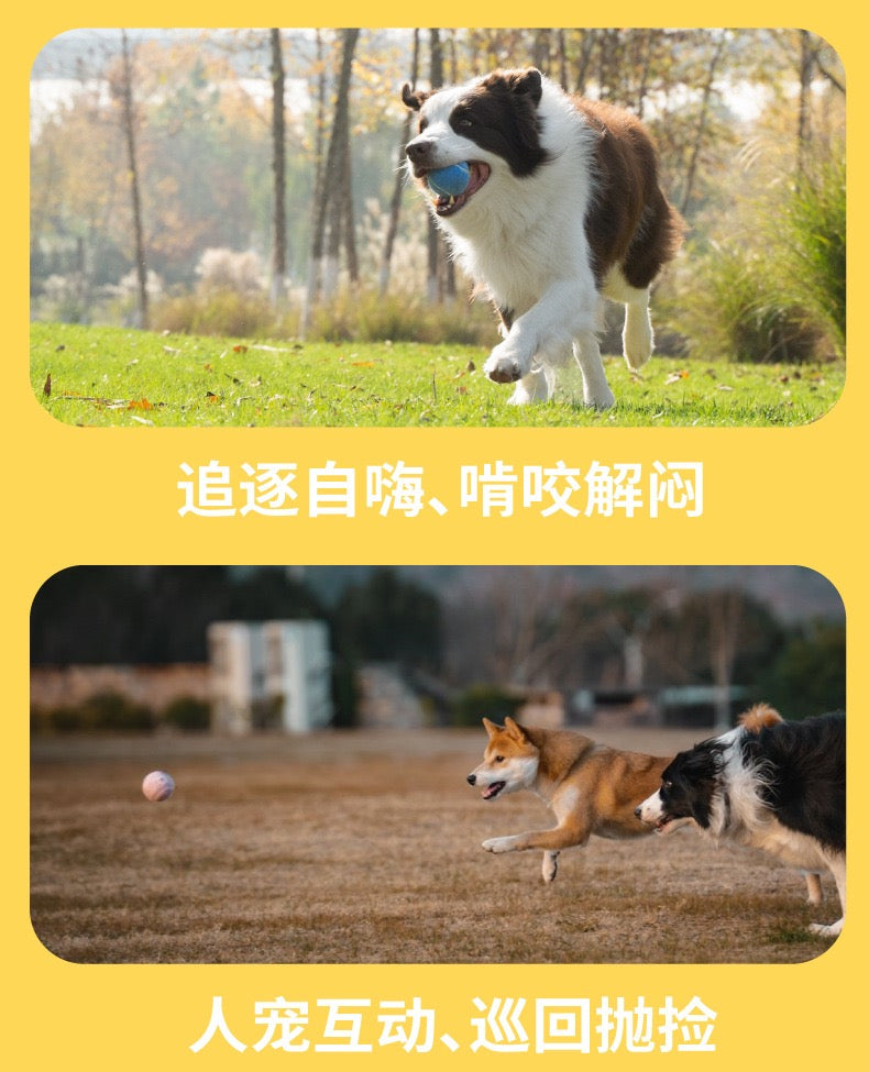 Petsville Tennis Ball For Dogs