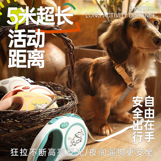 Fida Classic Leash