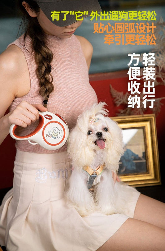 Fida Classic Leash