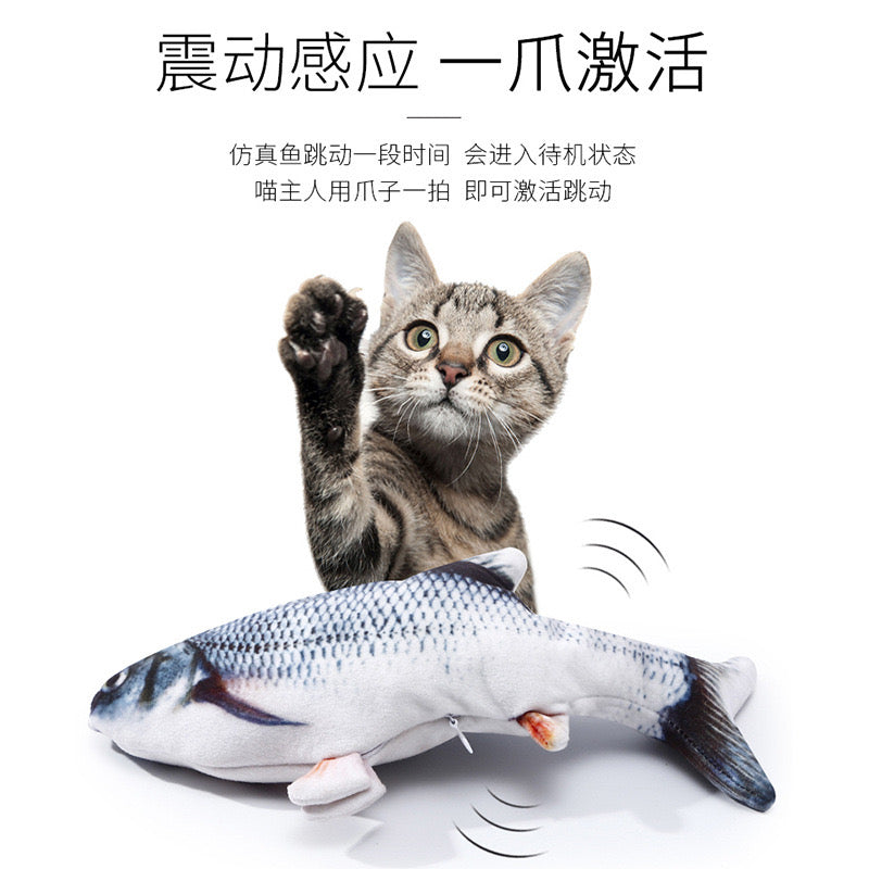 Electric Koi Fish Toy