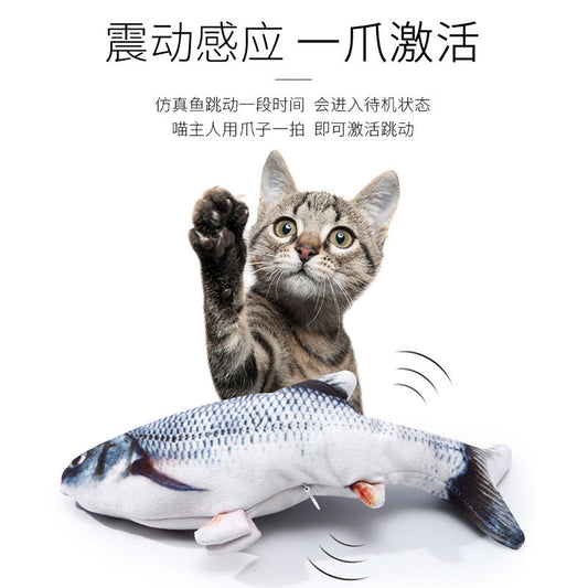Electric Koi Fish Toy