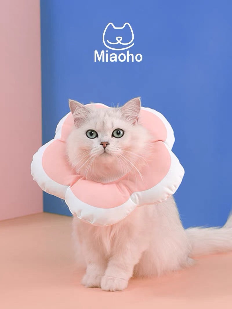 Waterproof Recovery Collar Pink Flower