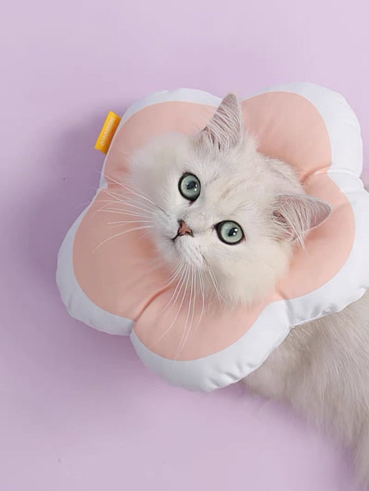Waterproof Recovery Collar Pink Flower