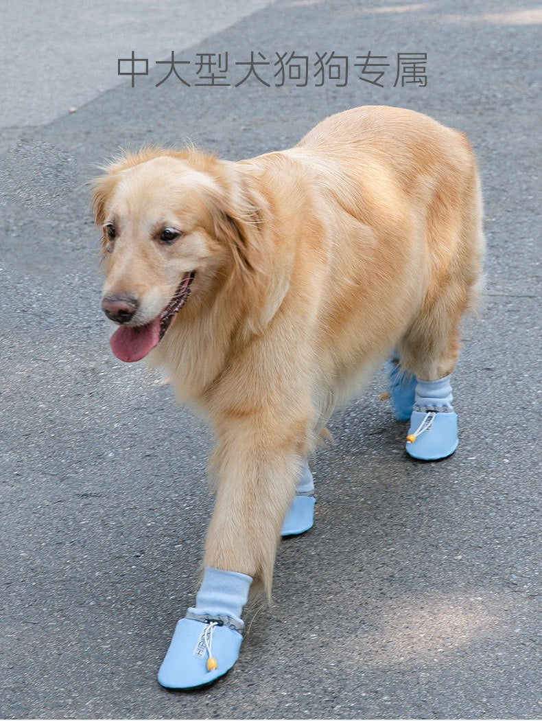 Dog Shoes