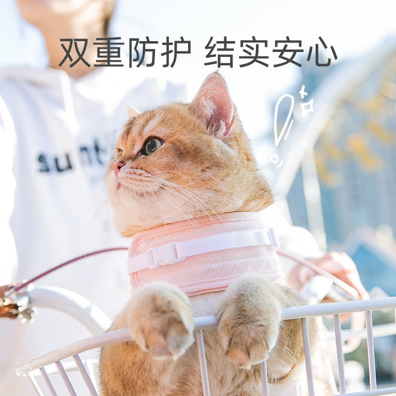 Angel Wings Cat Leash