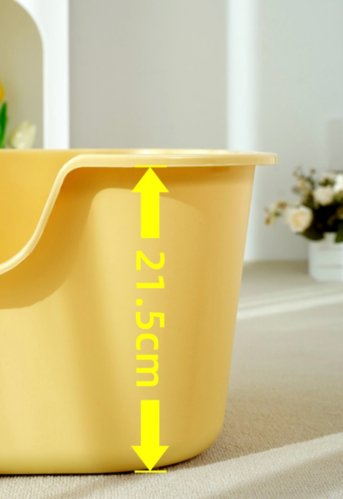 Creamy Open Litter Box