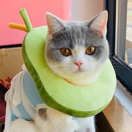 Recovery Collar Avocado