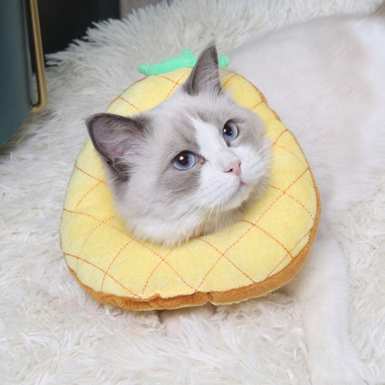 Recovery Collar Pineapple