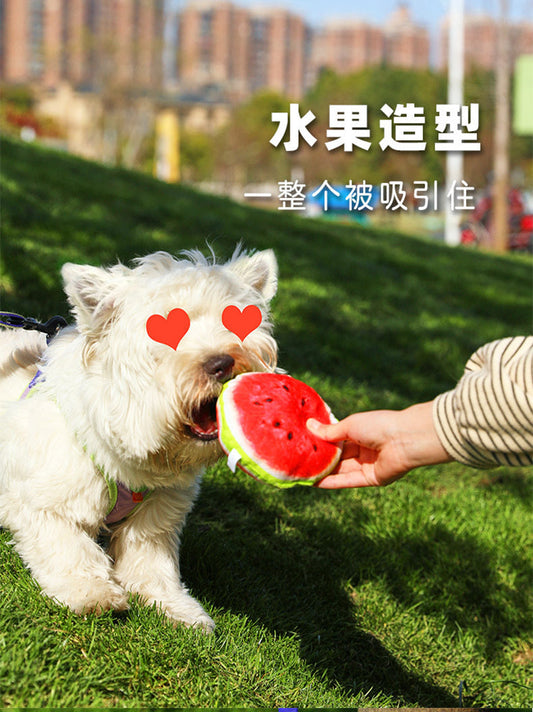 Interactive Cat Toy Kiwi