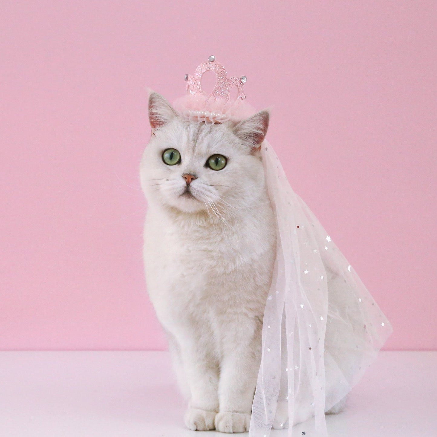 Princess Crown